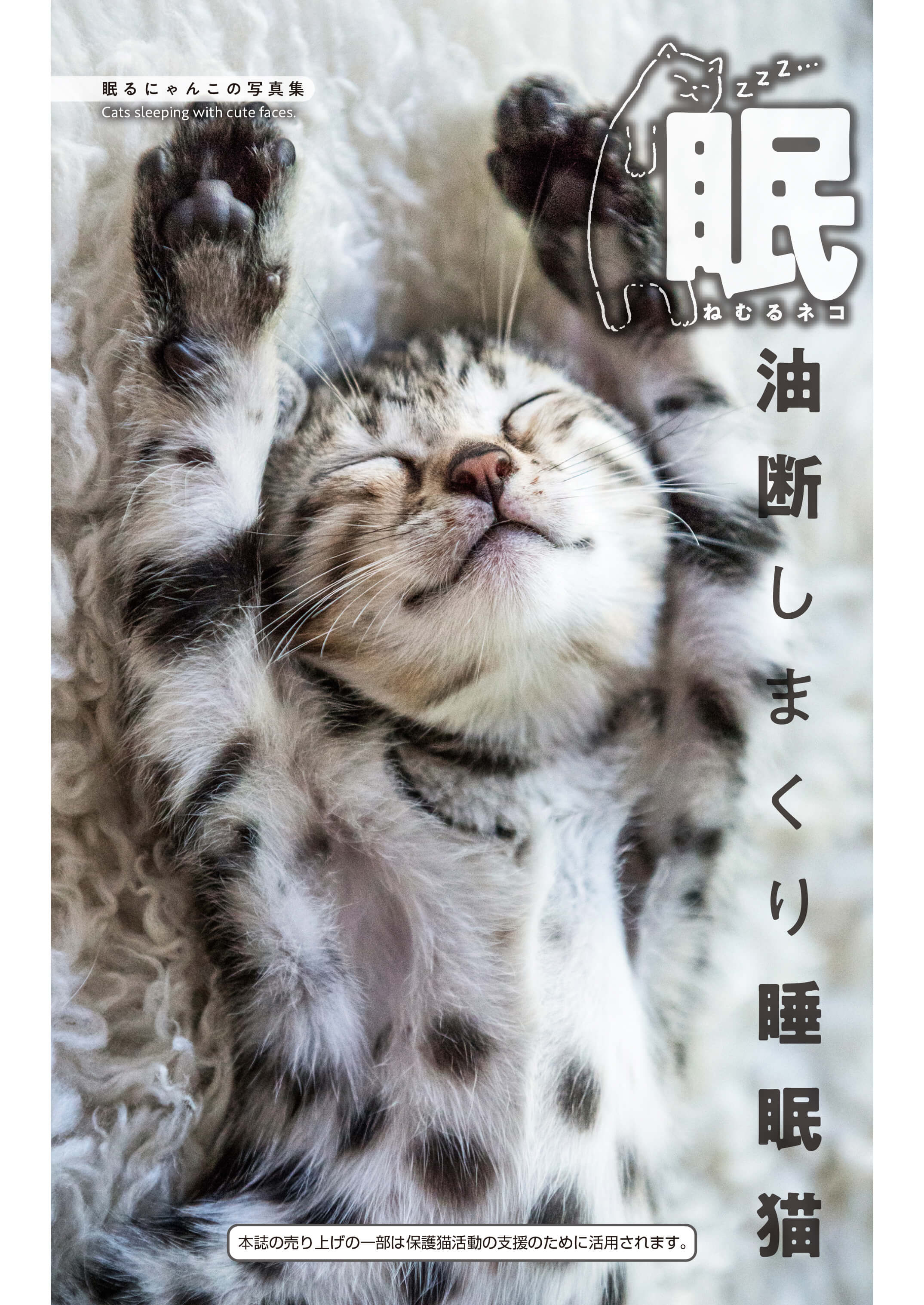 眠〜ねむるネコ〜